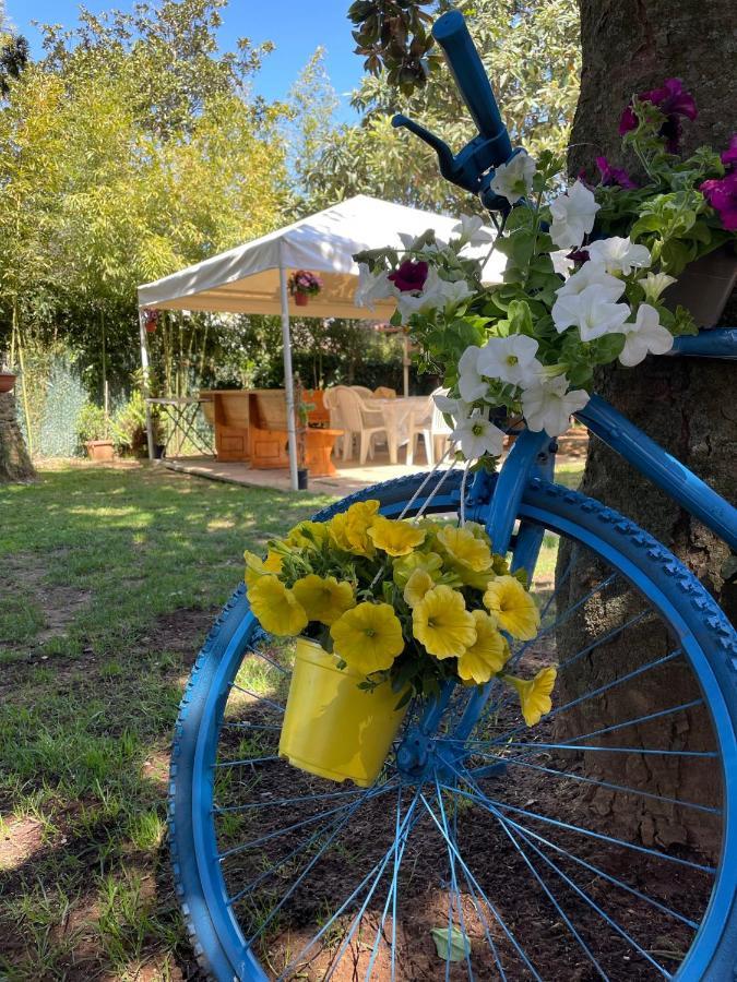 Appartamento In Villa Con Giardino Vicino Al Mare Bella Farnia Buitenkant foto