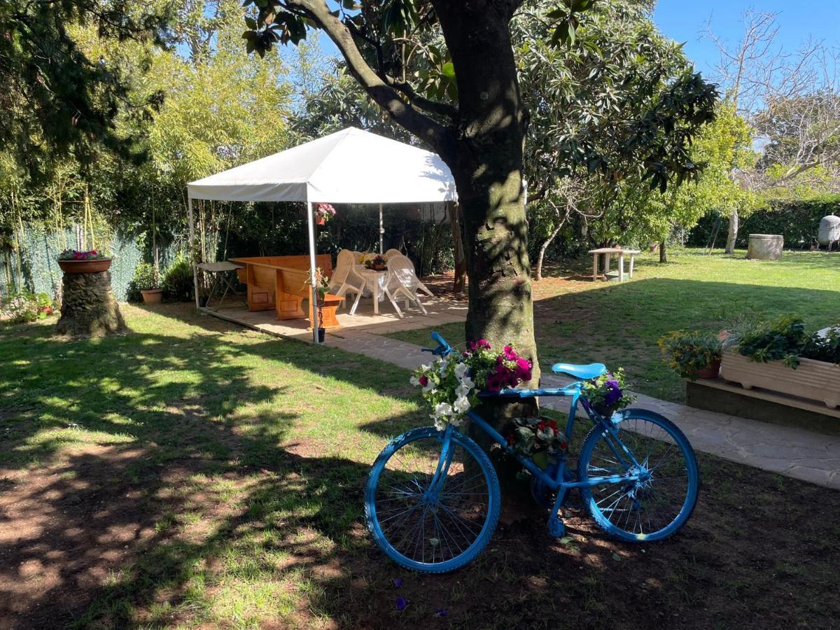 Appartamento In Villa Con Giardino Vicino Al Mare Bella Farnia Buitenkant foto